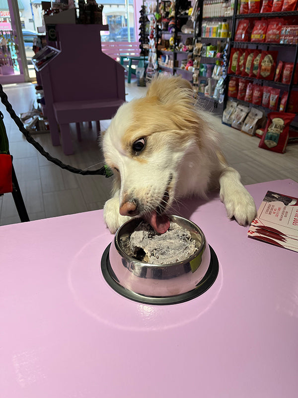 Scoopy Doo's Delray Beach