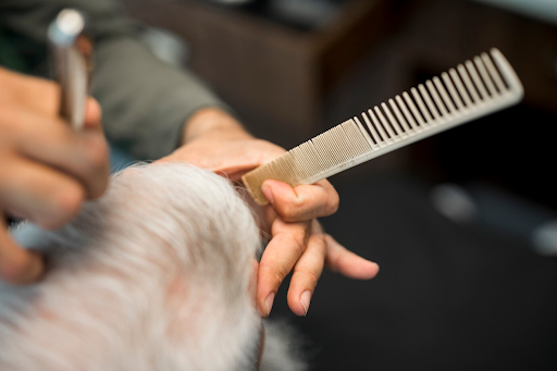 DIY Dog Grooming vs. Professional Grooming: Which Is Right for You?