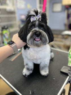 De-Shedding Treatments