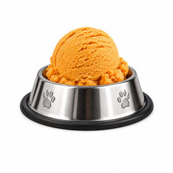 Dog Ice Cream