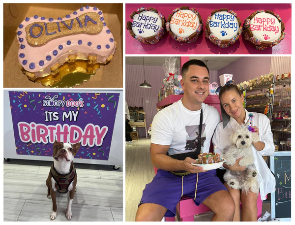 dog grooming delray beach